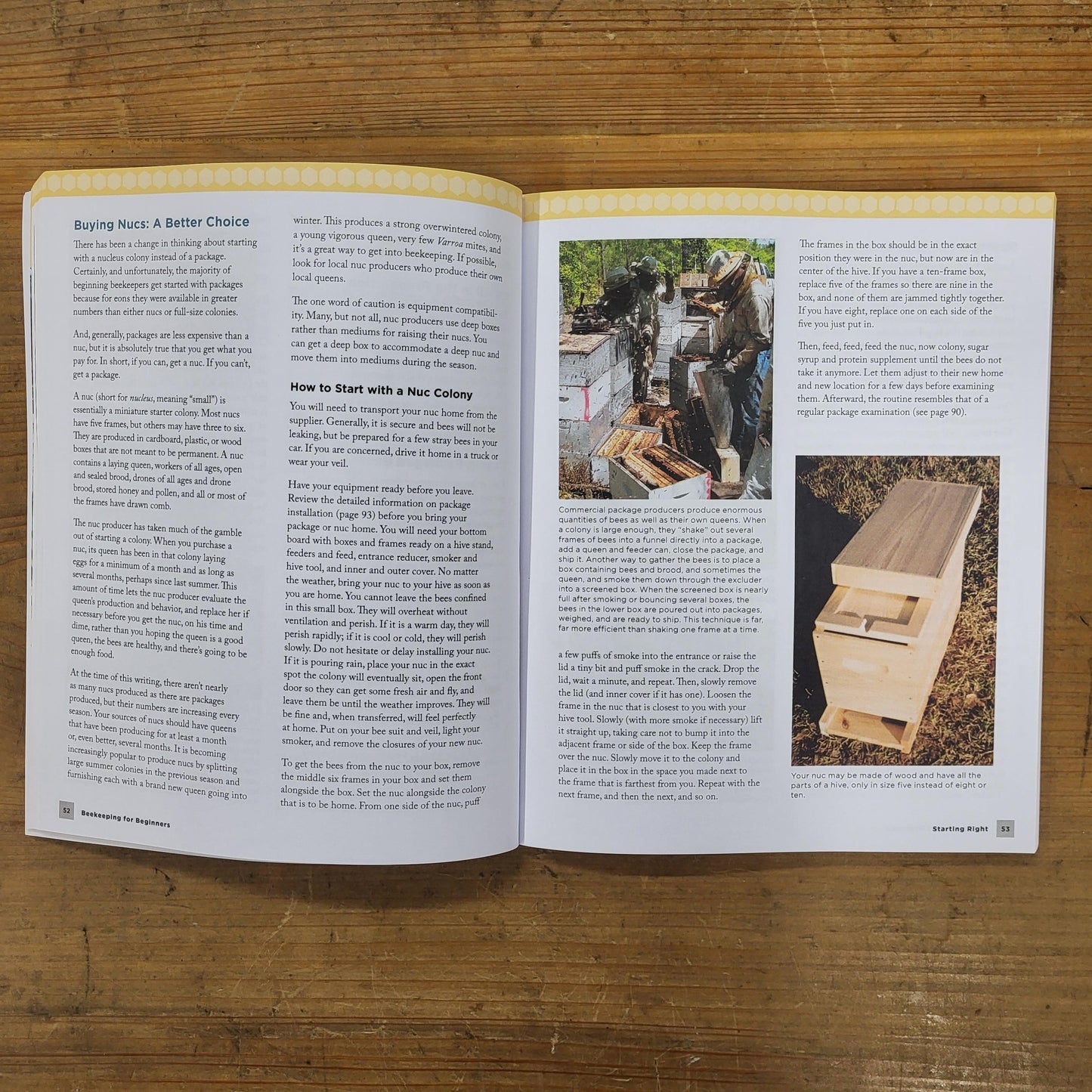 Beekeeping for Beginners Book - Concordia Style Boutique