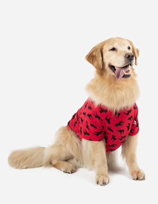 Big Dog Moose Pajamas - Concordia Style Boutique
