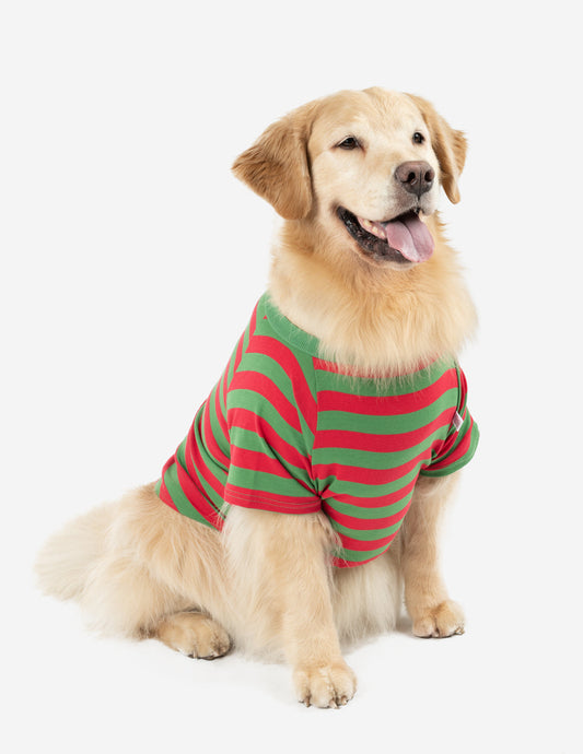 Big Dog Red & Green Stripes Pajamas - Concordia Style Boutique