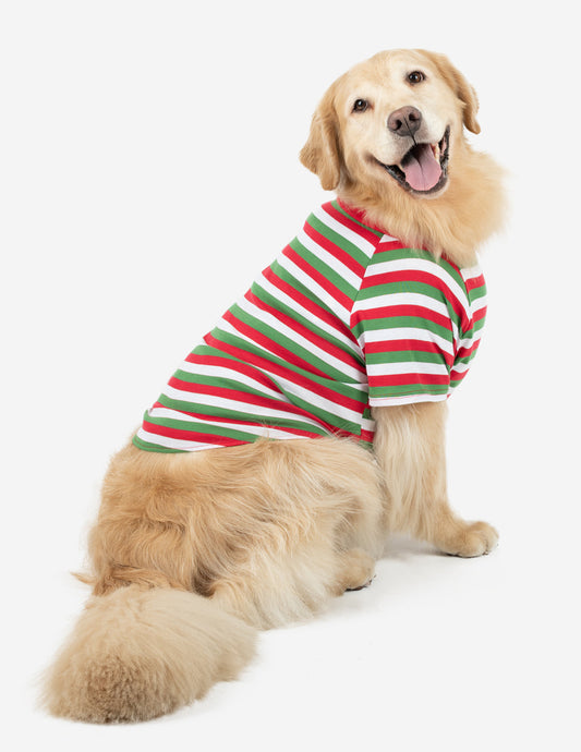 Big Dog Red White & Green Stripes Pajamas - Concordia Style Boutique