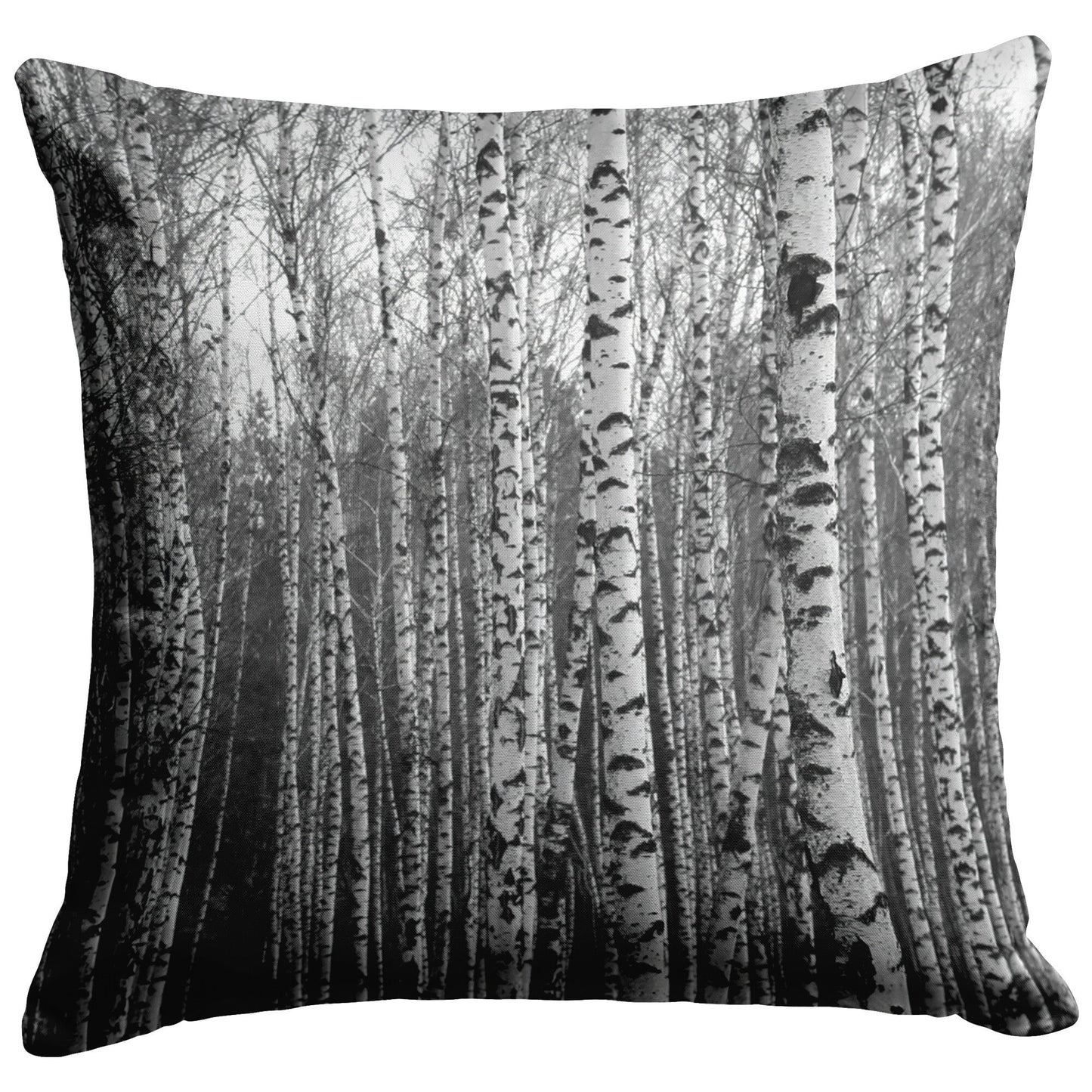 "Birch Trees in Winter" Throw Pillow