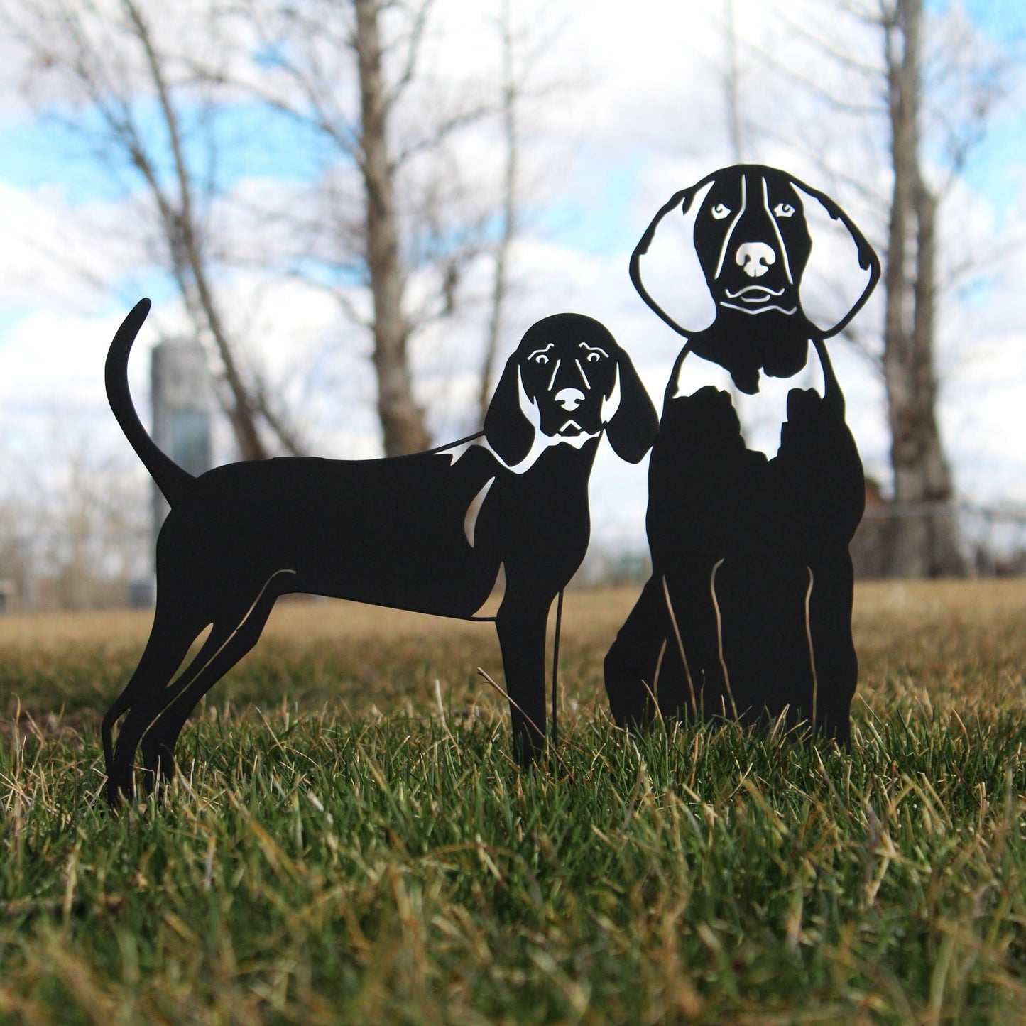 Treeing Walker Coonhound