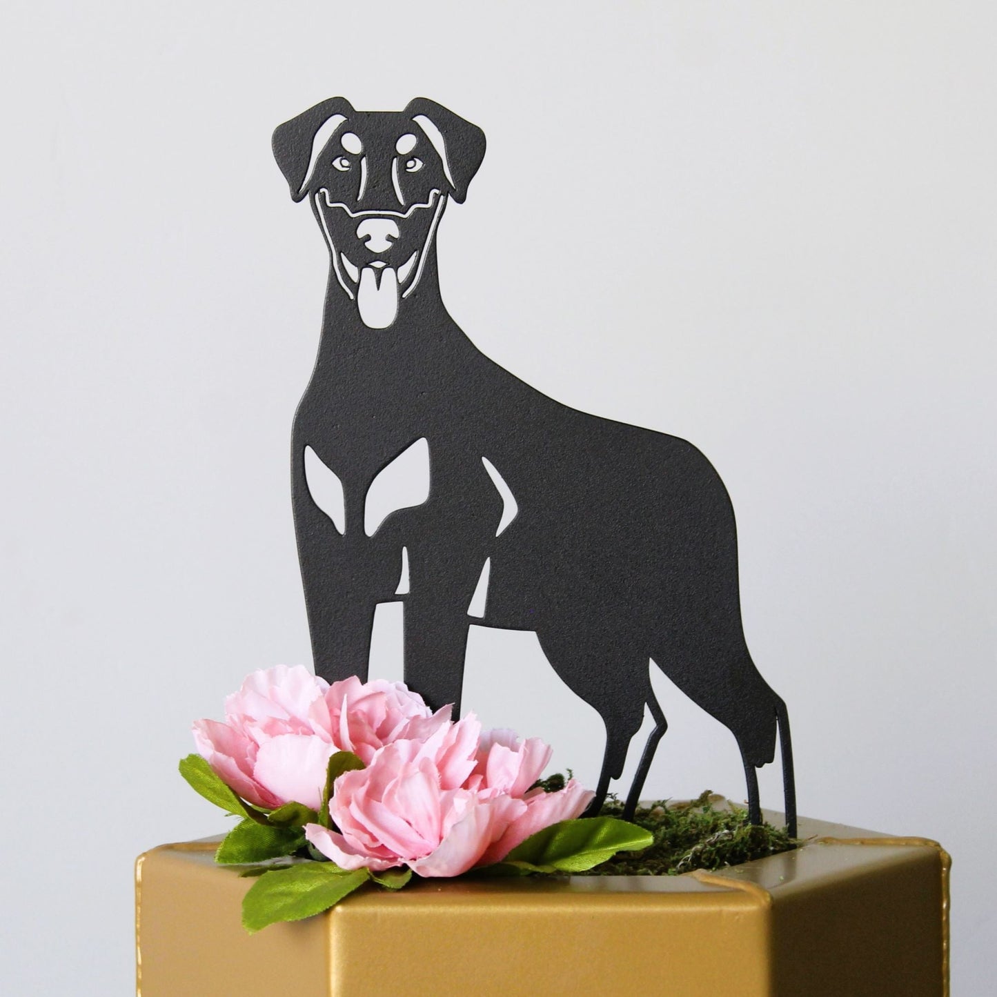 Doberman Pinscher - Natural Ear