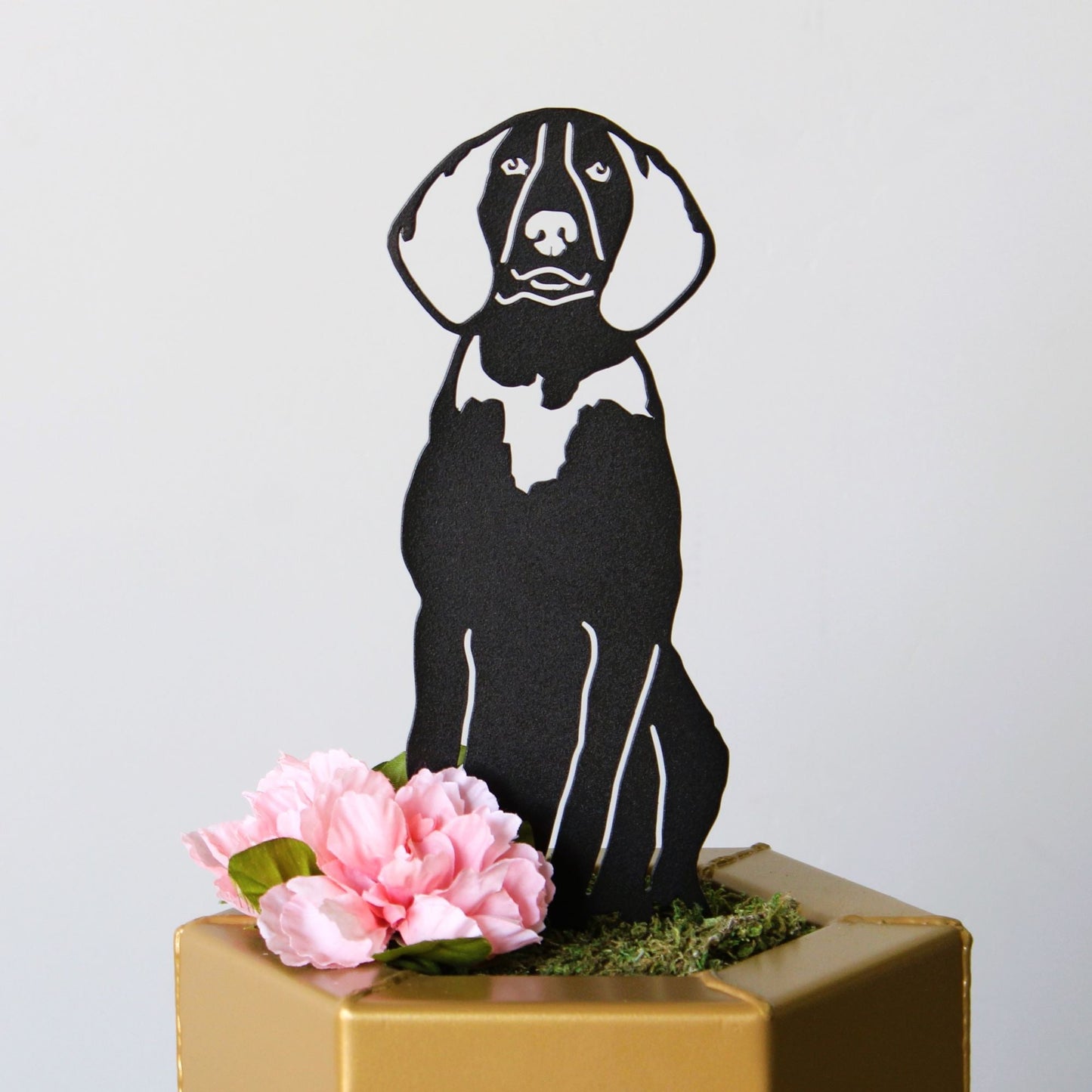 Treeing Walker Coonhound