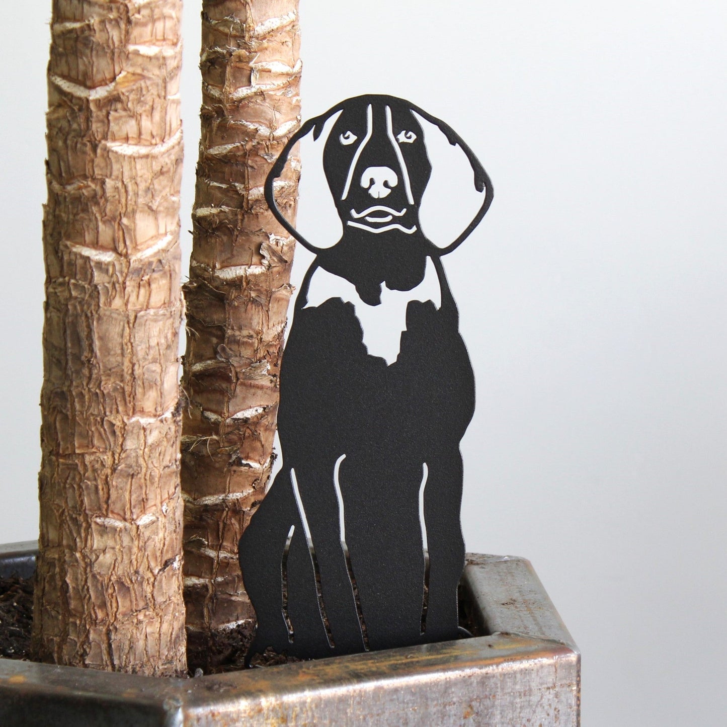 Treeing Walker Coonhound