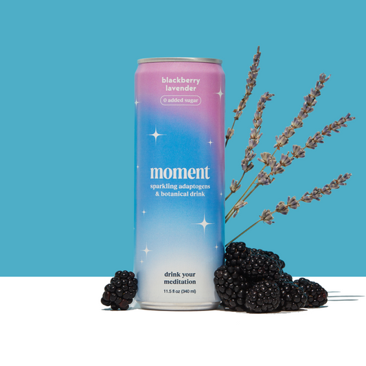 blackberry lavender (botanical soda | 12 pack) - Concordia Style Boutique