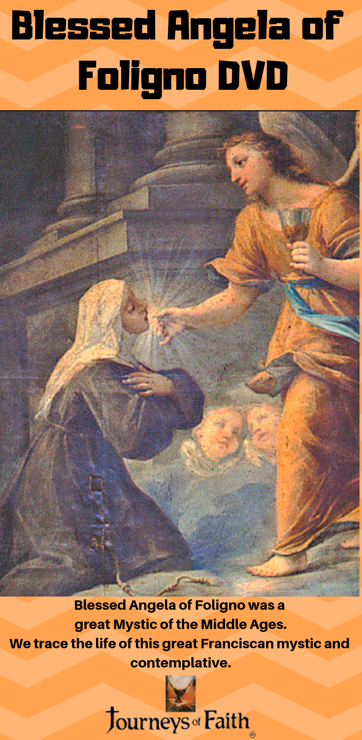 Saints Maligned Misunderstood and Mistreated Book