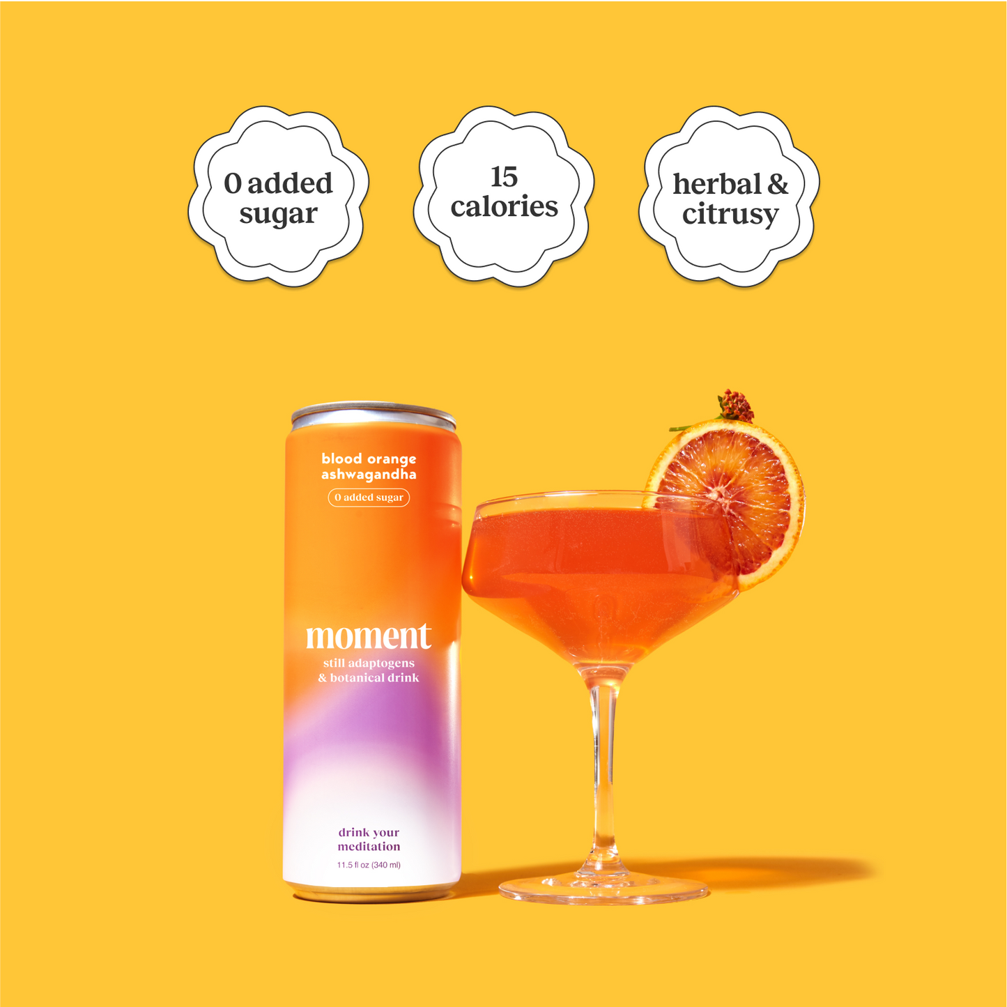 blood orange ashwagandha (botanical tea | 12 pack) - Concordia Style Boutique