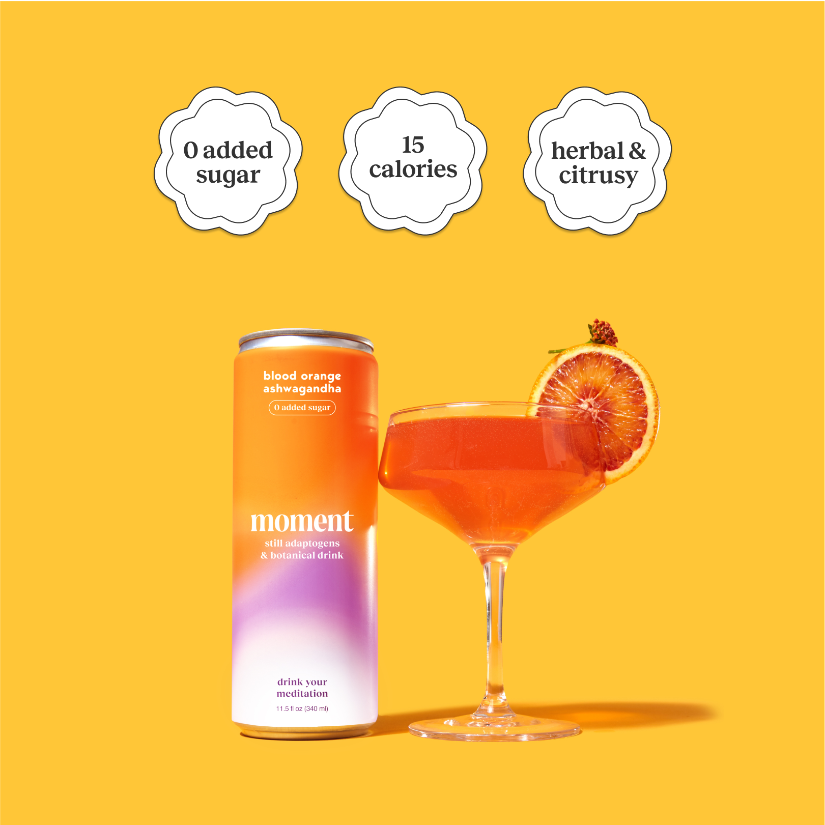 blood orange ashwagandha (botanical tea | 12 pack) - Concordia Style Boutique