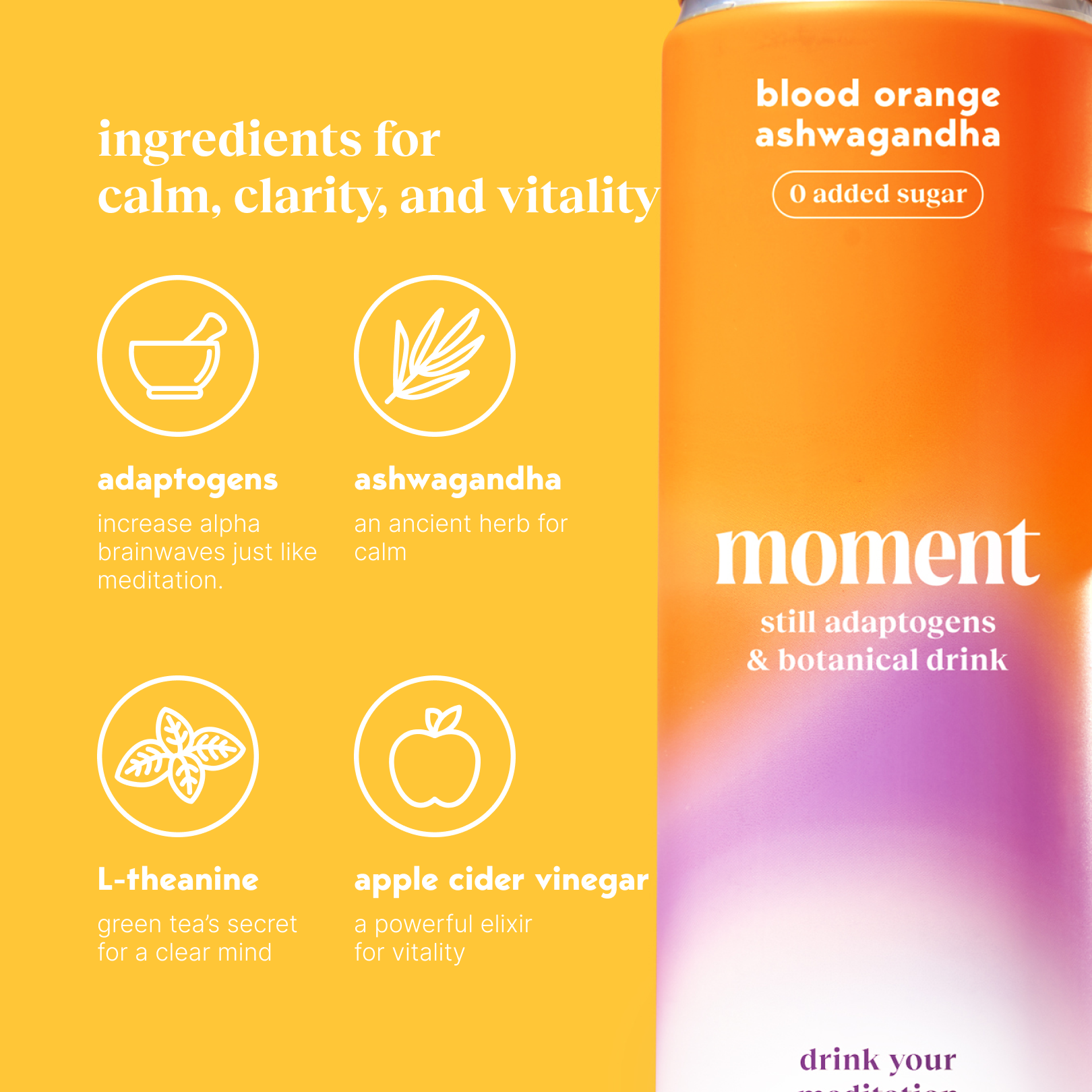 blood orange ashwagandha (botanical tea | 12 pack) - Concordia Style Boutique