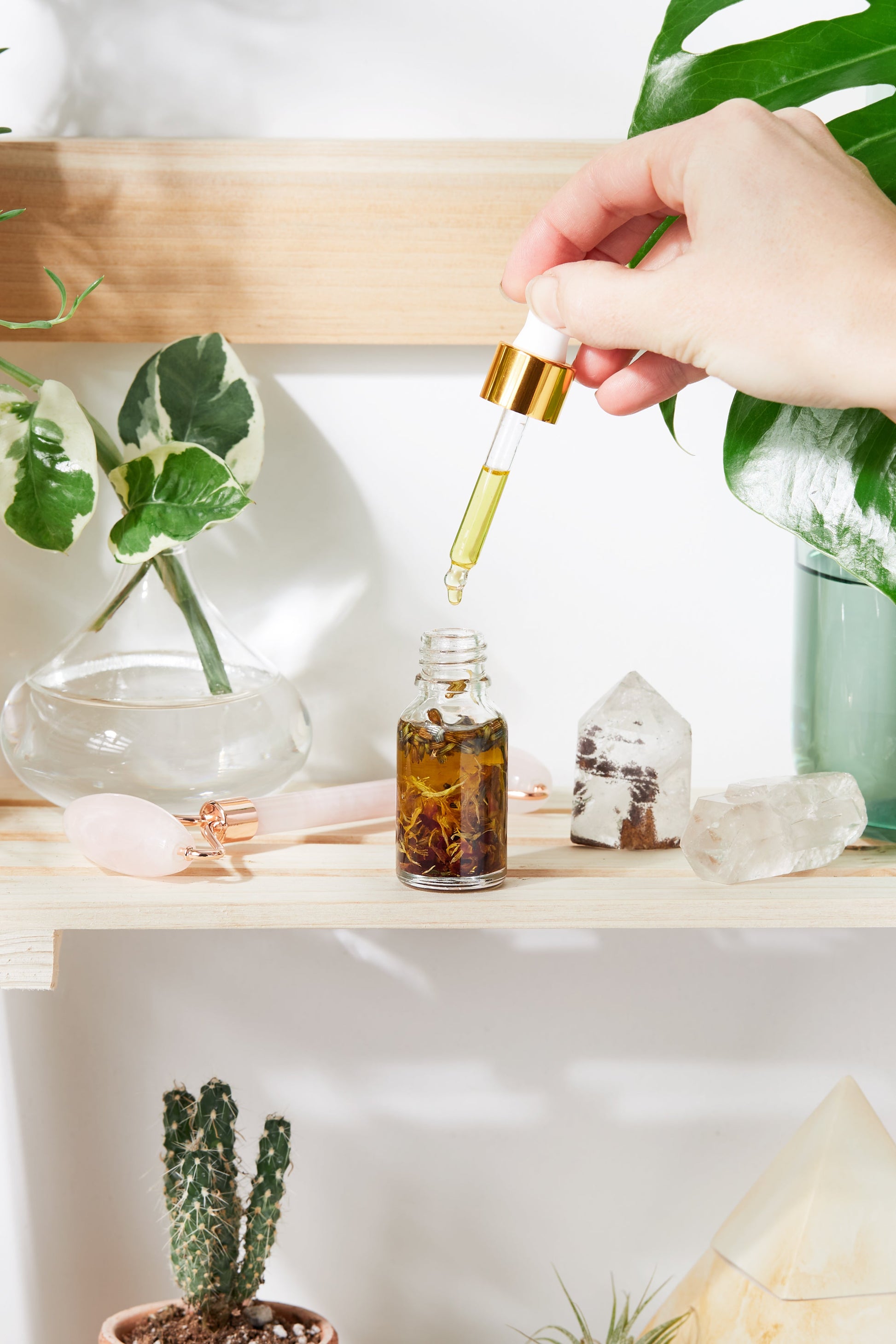 Anti Aging / Youth Serum / Facial Serum / Butter Me Up Organics / Botanical Serum / Herbal Oil / Fine Lines / Wrinkles / Face Oil Organic - Concordia Style Boutique