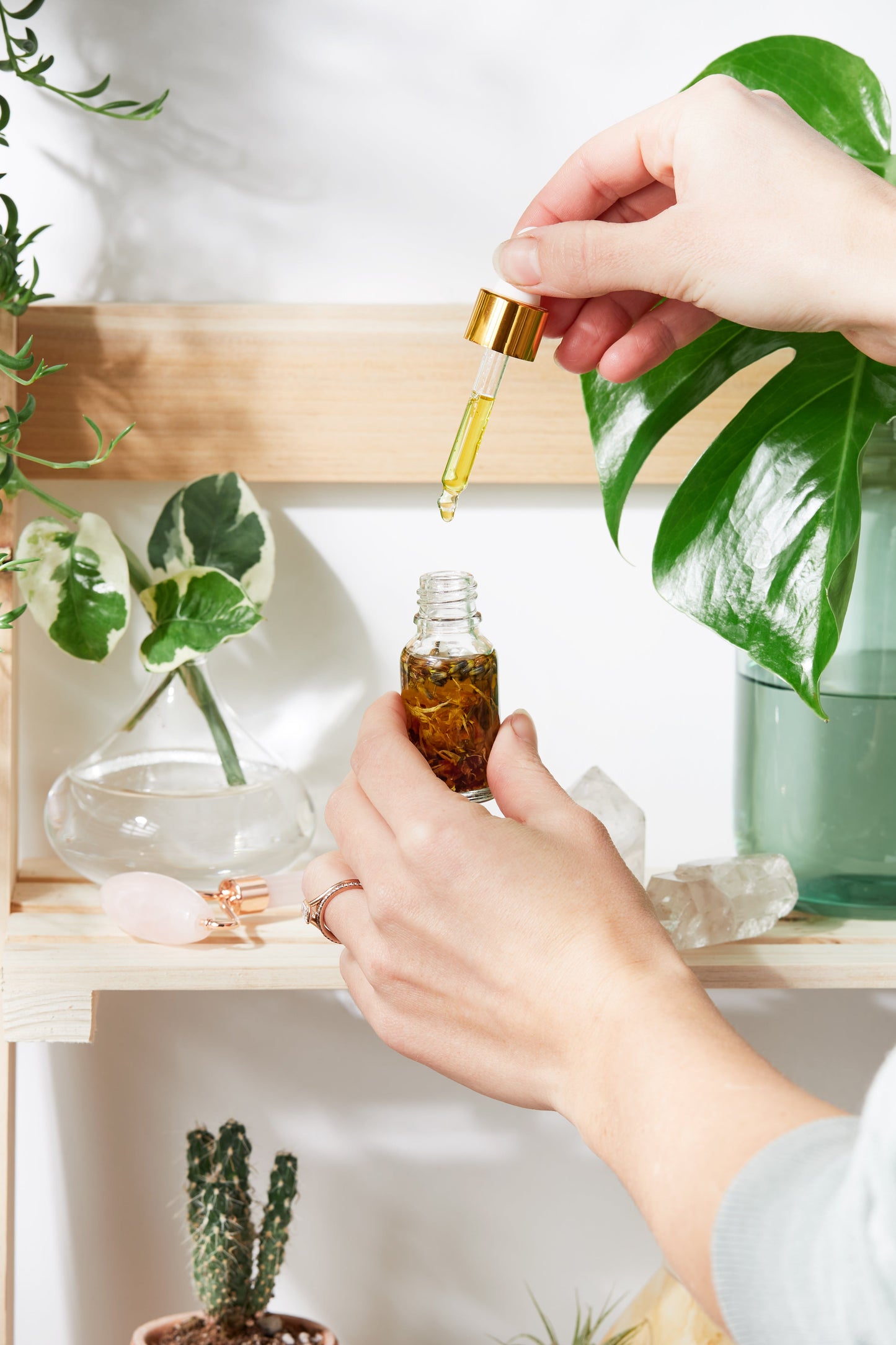 Anti Aging / Youth Serum / Facial Serum / Butter Me Up Organics / Botanical Serum / Herbal Oil / Fine Lines / Wrinkles / Face Oil Organic - Concordia Style Boutique