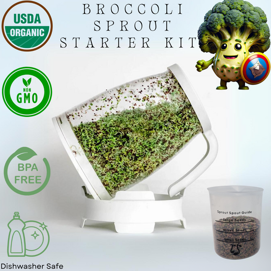 Sprout Spout Broccoli Starter Kit: Sprout Spout + 4oz or 1lb seeds + Free Sprout Scoop - Concordia Style Boutique