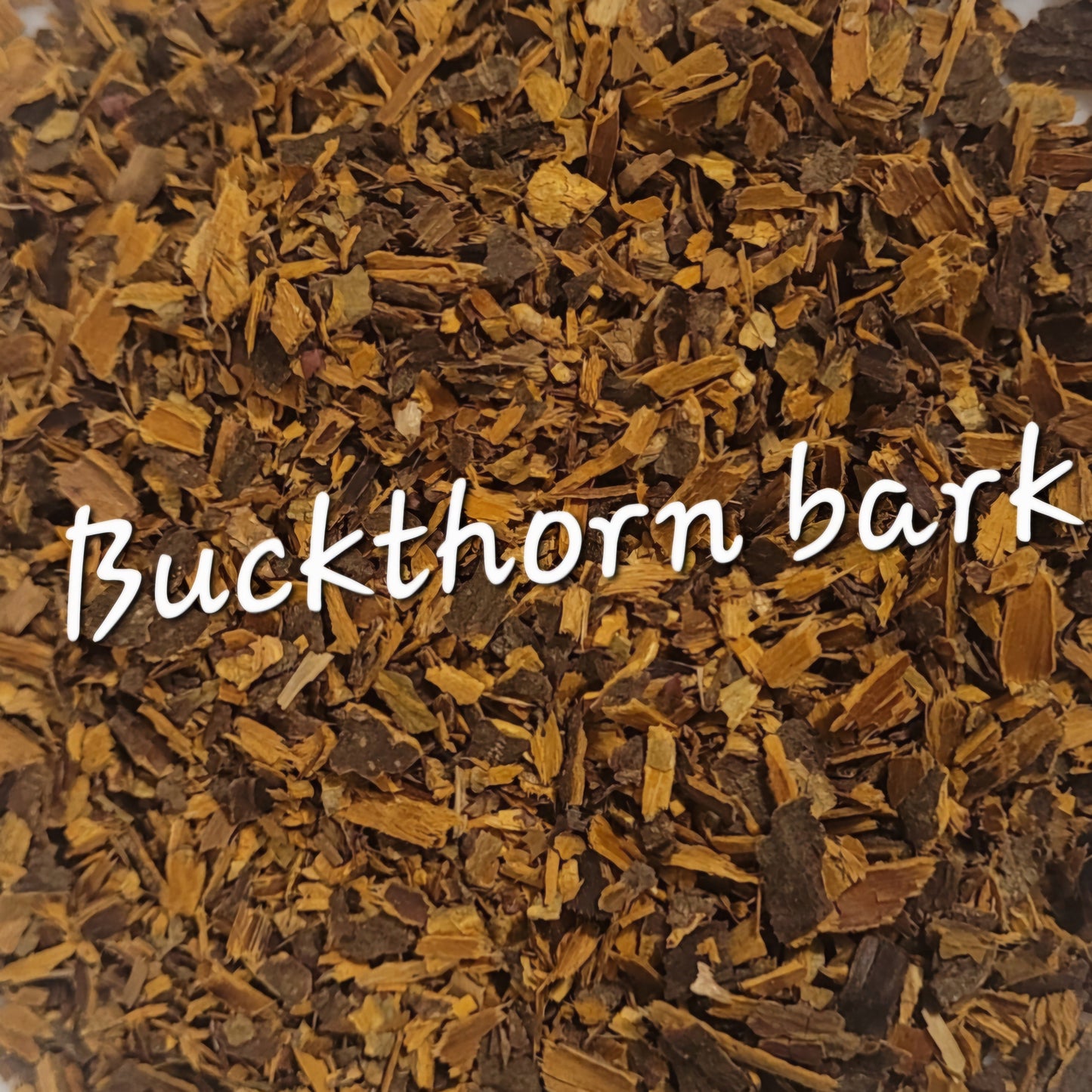 Buckthorn Bark | Digestive Cleanse & Gentle Detox