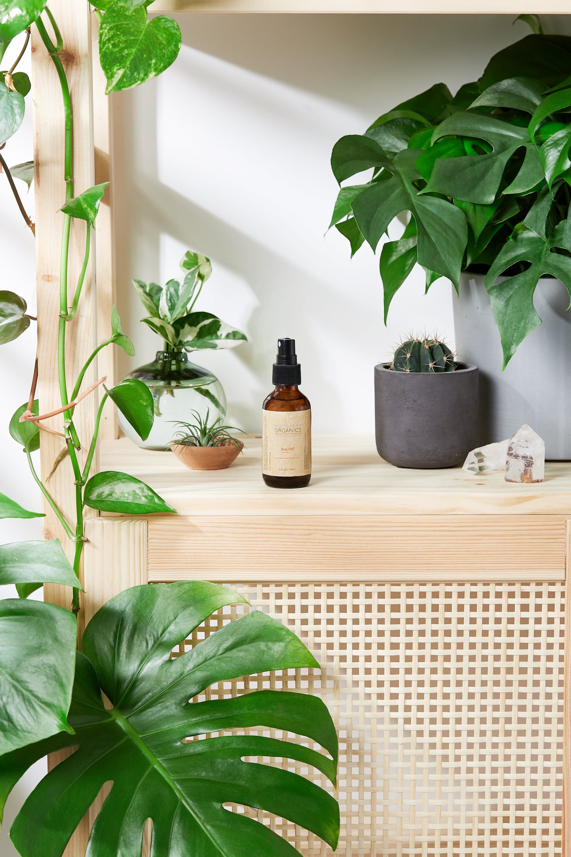 Organic Bug Spray / Mosquito Repellant / - Concordia Style Boutique