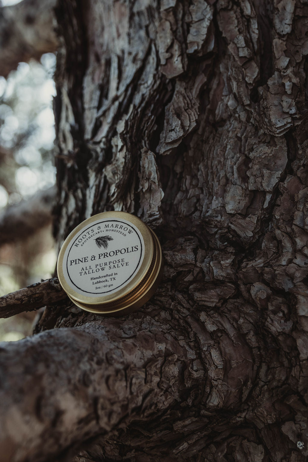 Pine & Propolis All Purpose Tallow Salve - Concordia Style Boutique