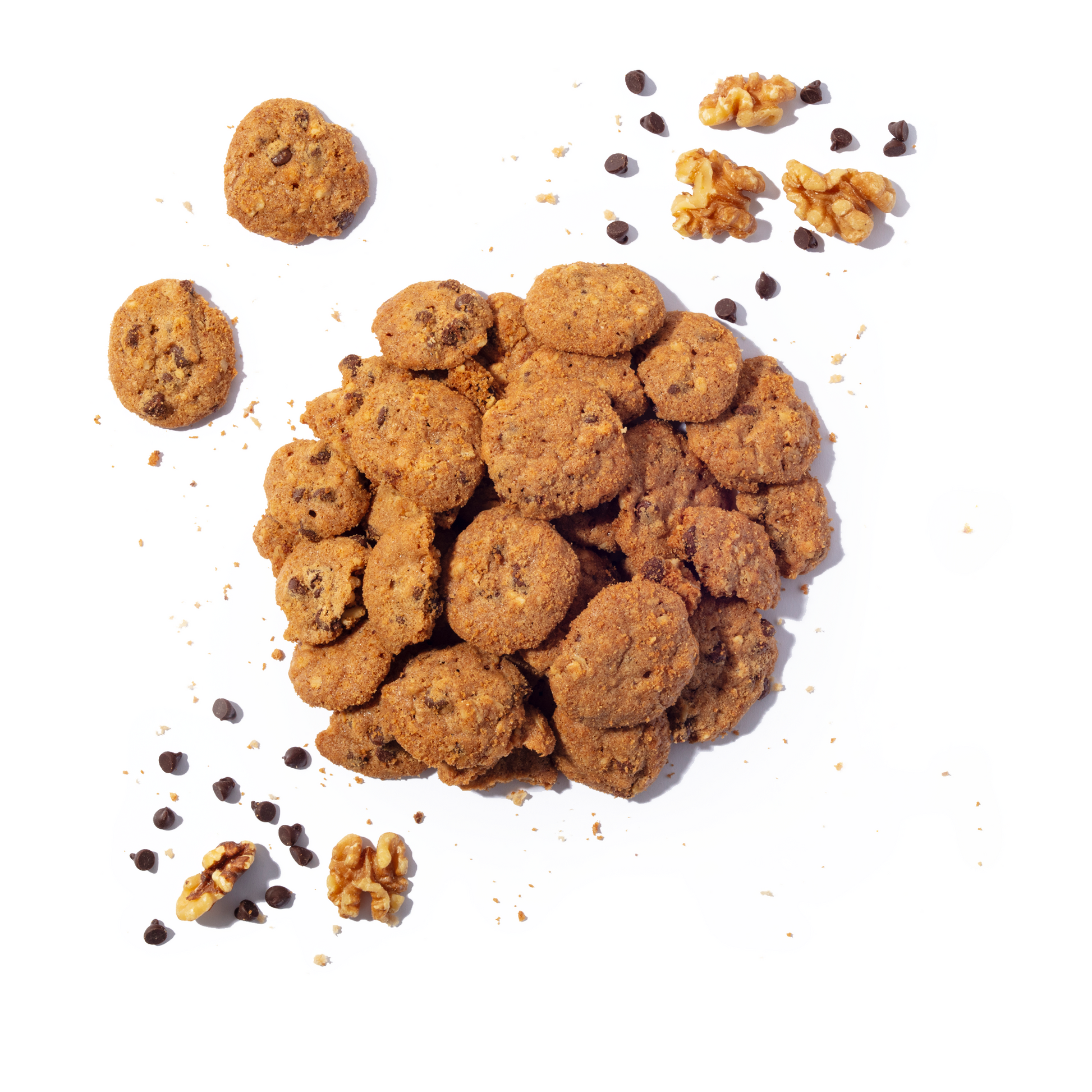 Walnut Chocolate Chip - Concordia Style Boutique