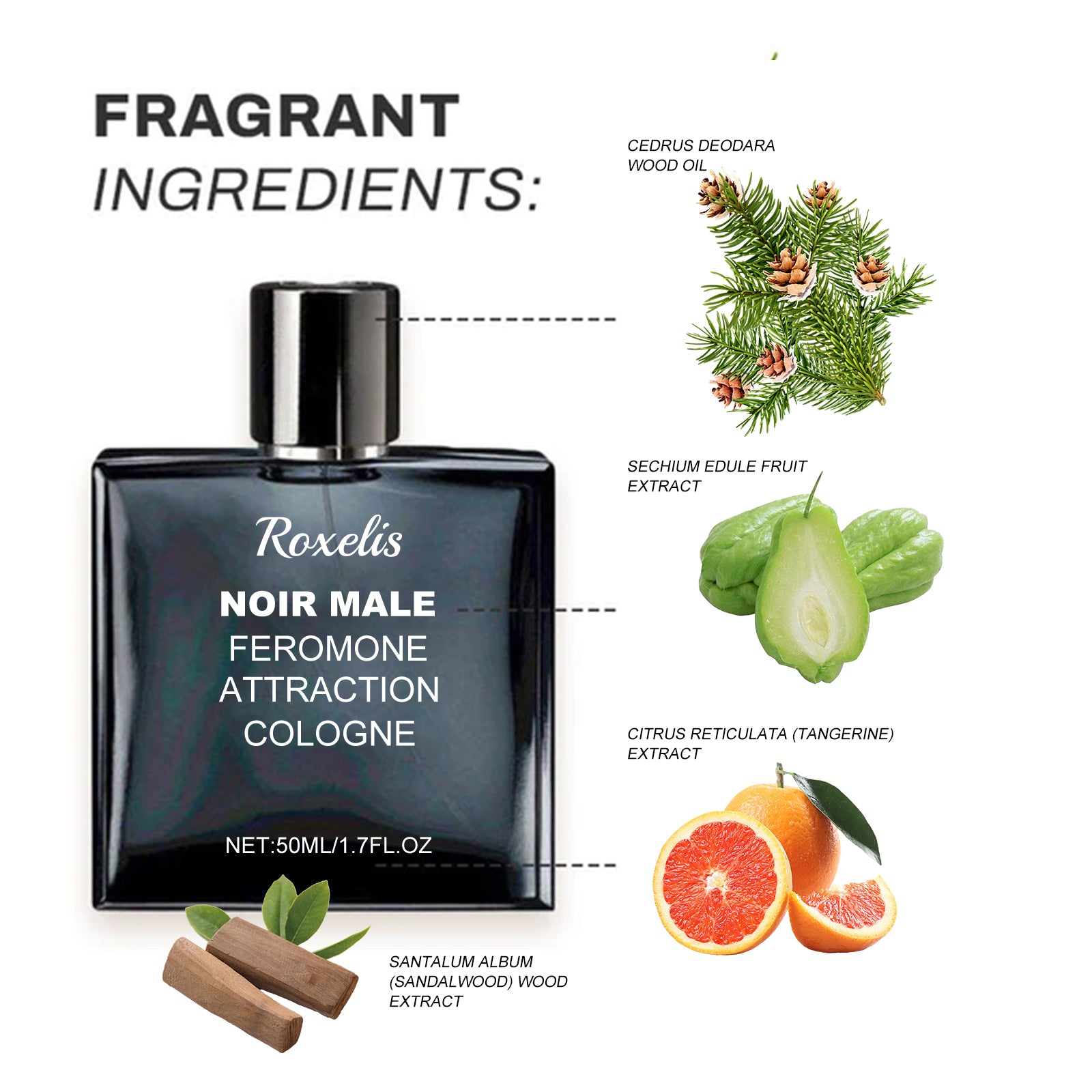 Roxelis Noir Men's Feromone Attraction Cologne - Refreshing - Mild Not Pungent - Lasting Fragrance - Premium Cologne from Concordia Style Boutique - Just $17.26! Shop now at Concordia Style Boutique