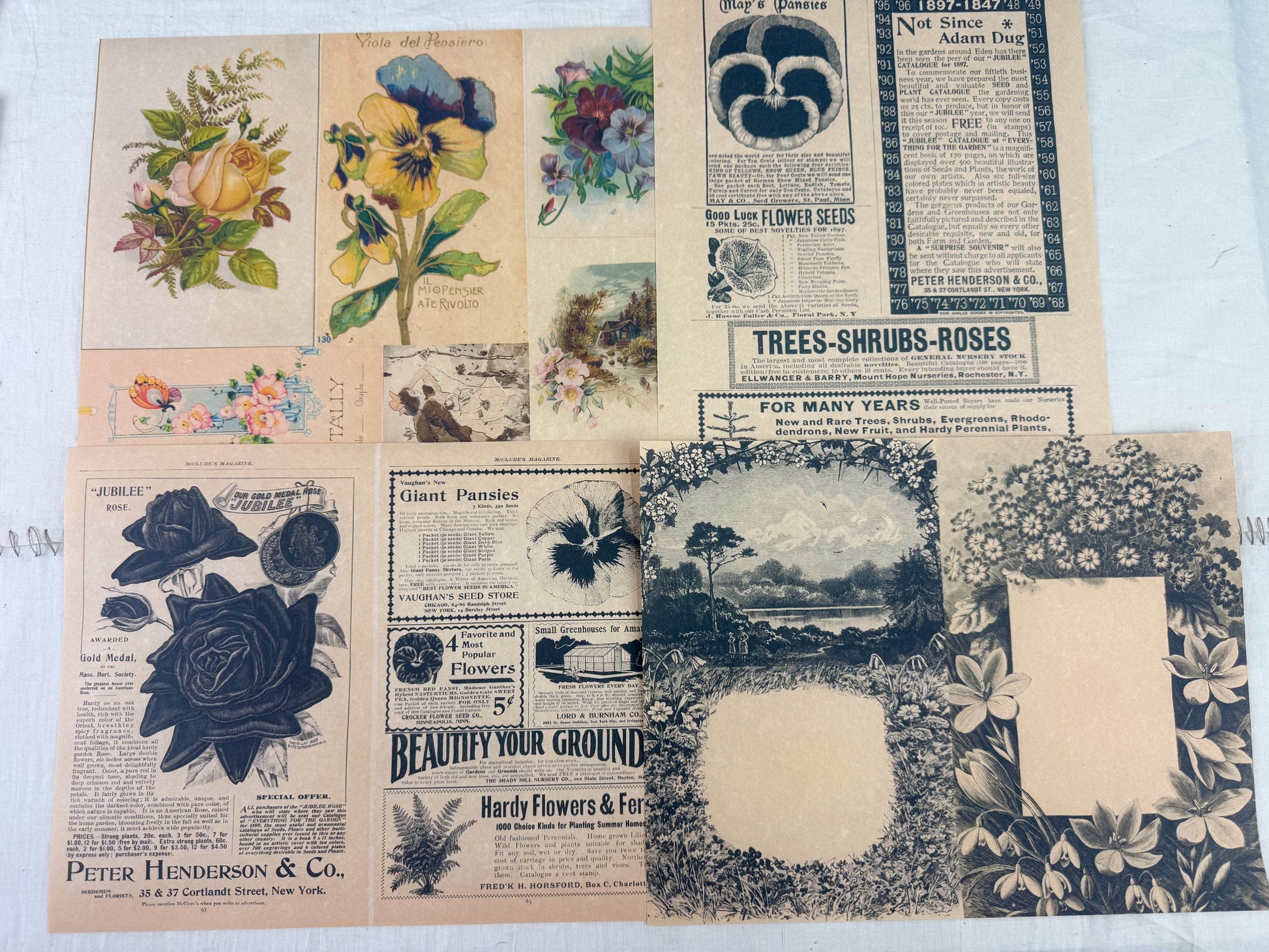 Botanical and Nature Ephemera Kit - Concordia Style Boutique