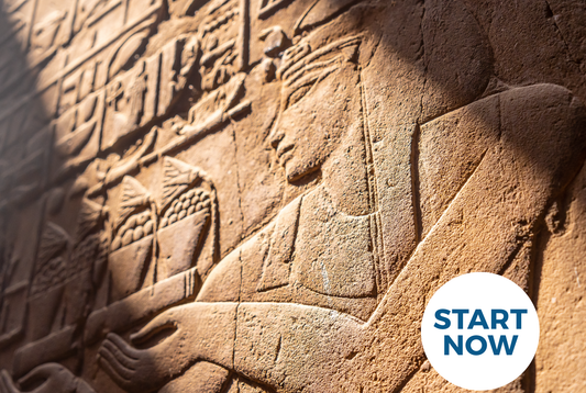 Archaeology Online Certificate Course - Concordia Style Boutique