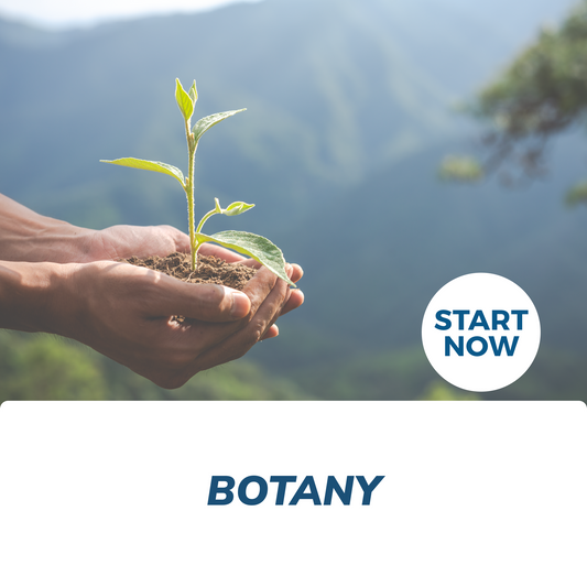 Botany Online Certificate Course - Concordia Style Boutique
