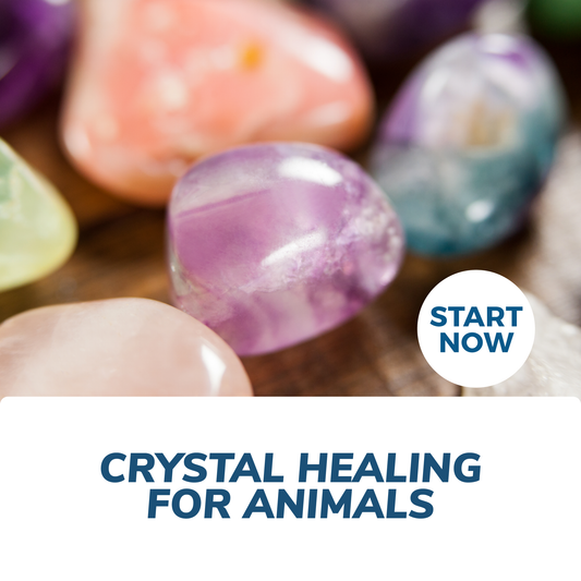 Crystal Healing for Animals Online Certificate Course - Concordia Style Boutique