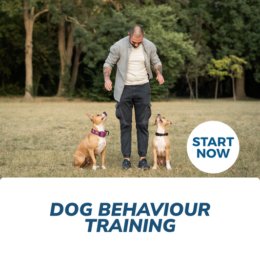 Dog Behaviour Training Online Certificate Course - Concordia Style Boutique