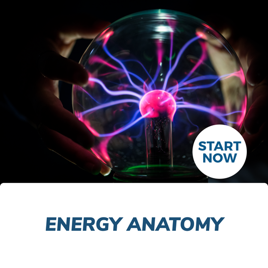 Energy Anatomy Online Certificate Course - Concordia Style Boutique