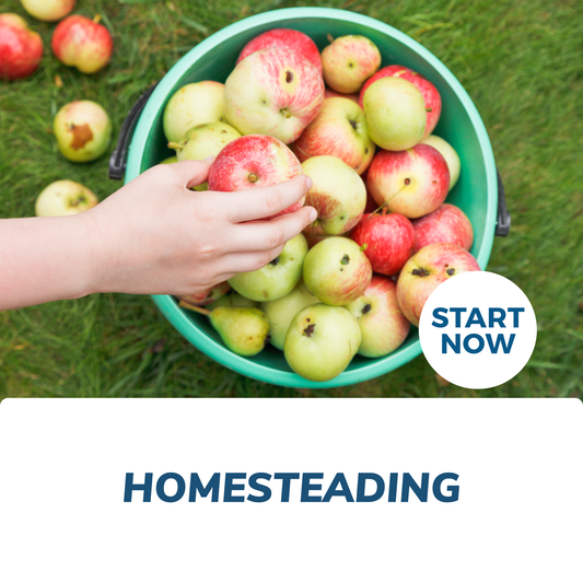 Homesteading Online Certificate Course - Concordia Style Boutique