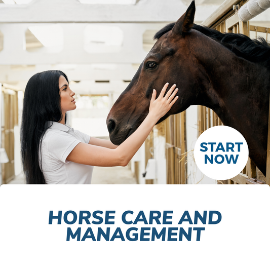 Horse Care and Management Online Certificate Course - Premium Horse Care from Courses For Success - Just $299! Shop now at Concordia Style Boutique