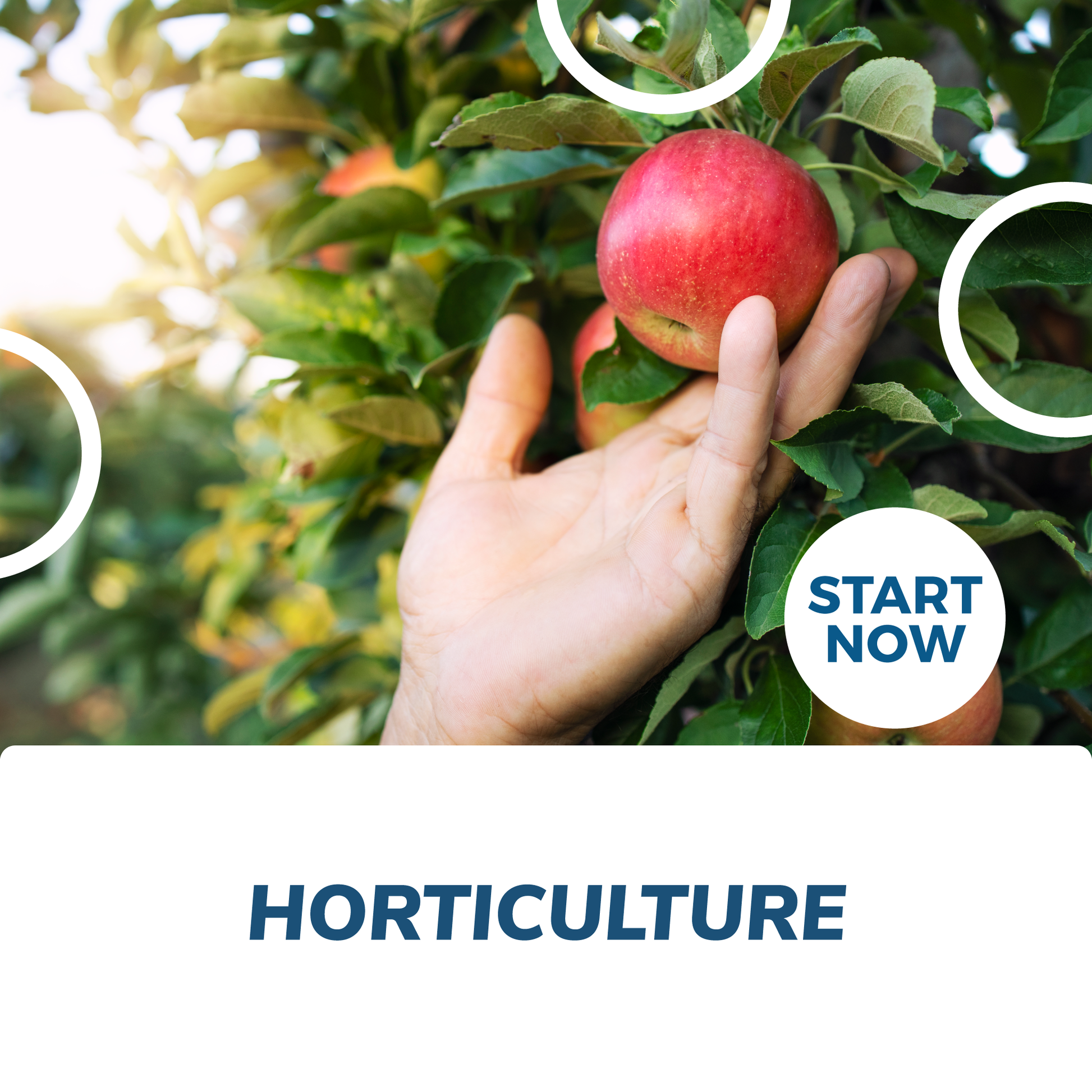 Horticulture Online Certificate Course - Concordia Style Boutique