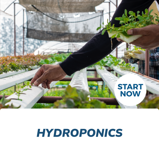 Hydroponics Online Certificate Course - Concordia Style Boutique