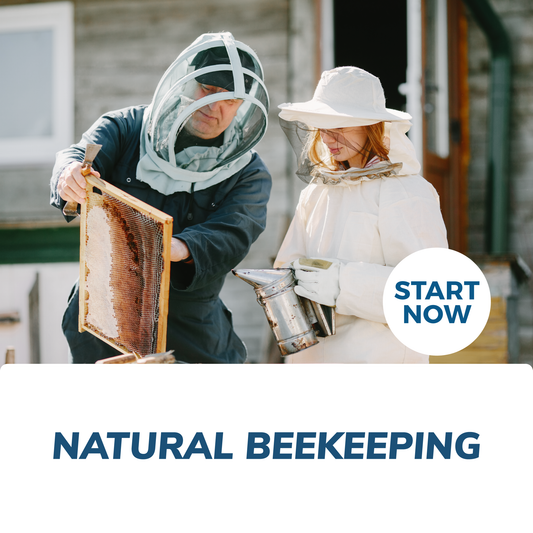 Natural Beekeeping Online Certificate Course - Concordia Style Boutique