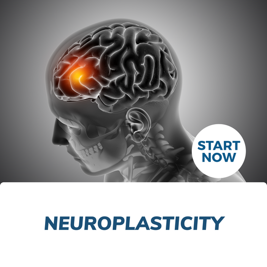 Neuroplasticity Online Certificate Course - Concordia Style Boutique