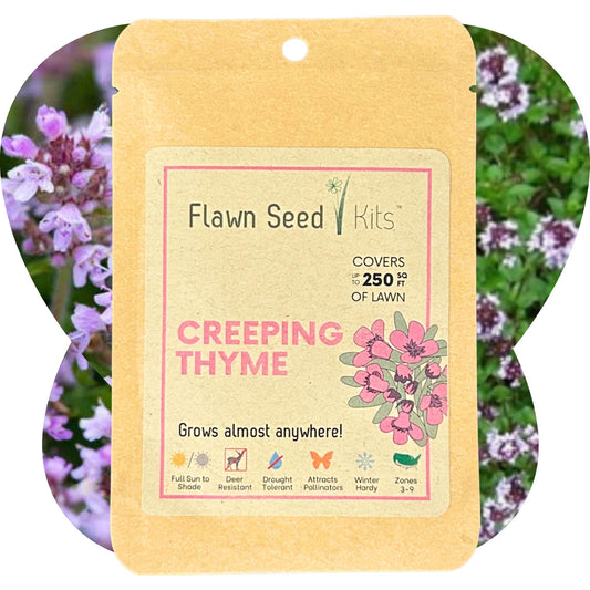 Creeping Thyme Seed Pouch - Concordia Style Boutique