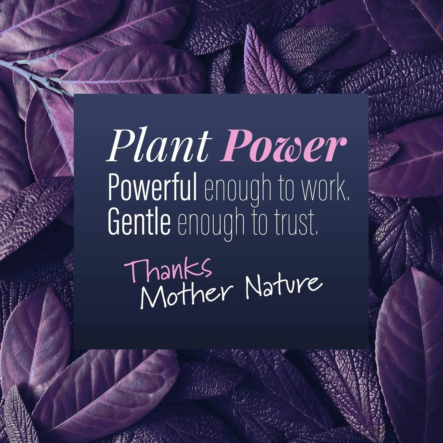 Calyptus Ultrasonic Jewelry Cleaner Solution Concentrate | Plant-Based Eyeglass and Jewelry Cleaner - Concordia Style Boutique