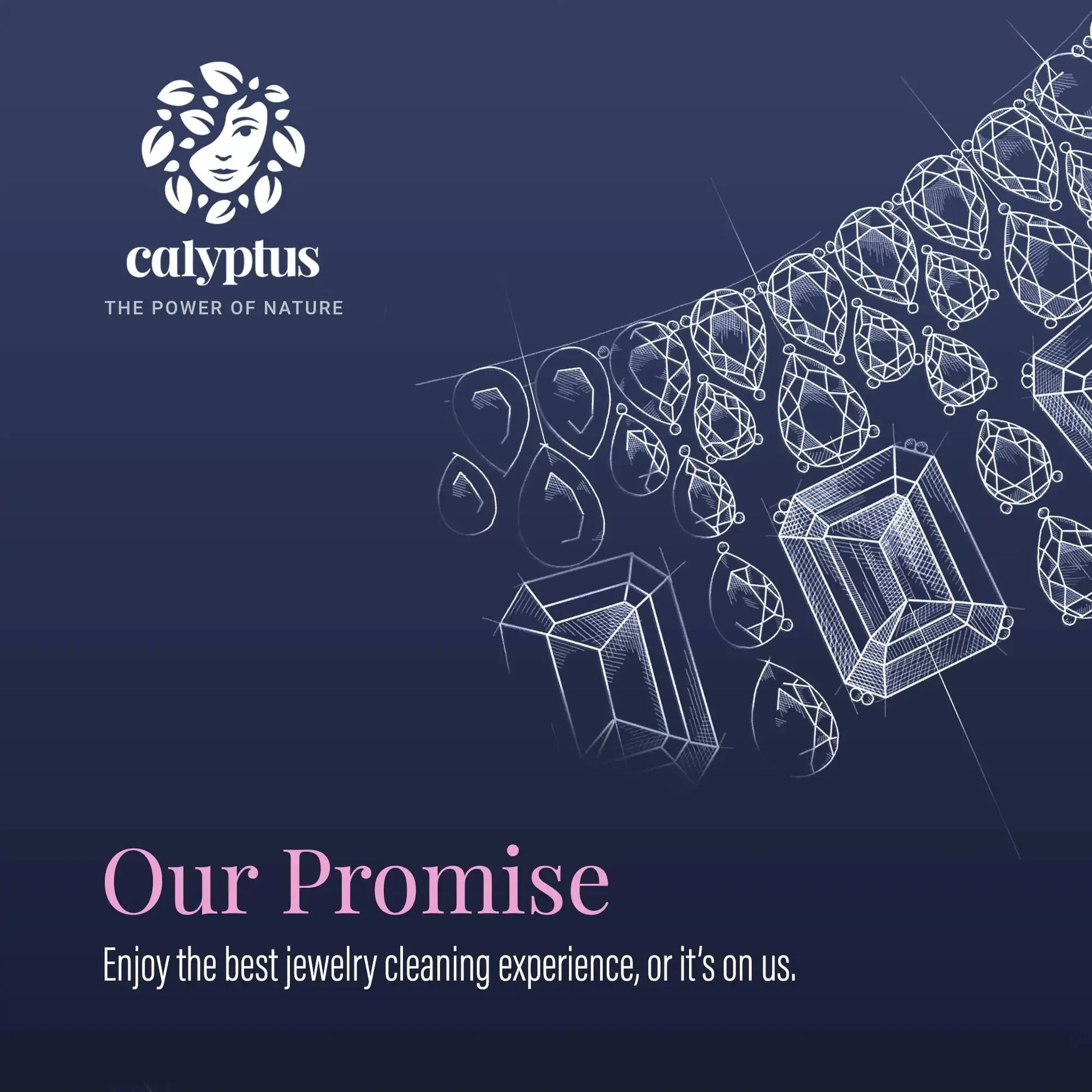 Calyptus Ultrasonic Jewelry Cleaner Solution Concentrate | Plant-Based Eyeglass and Jewelry Cleaner - Concordia Style Boutique