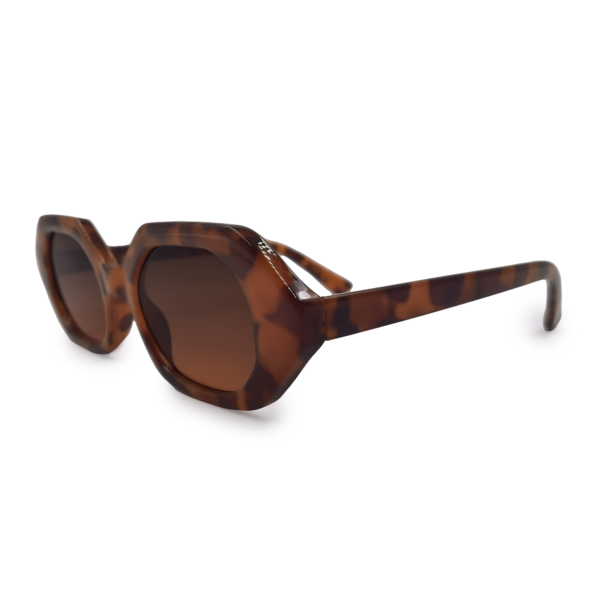 Came To Win - Tortoise - Concordia Style Boutique