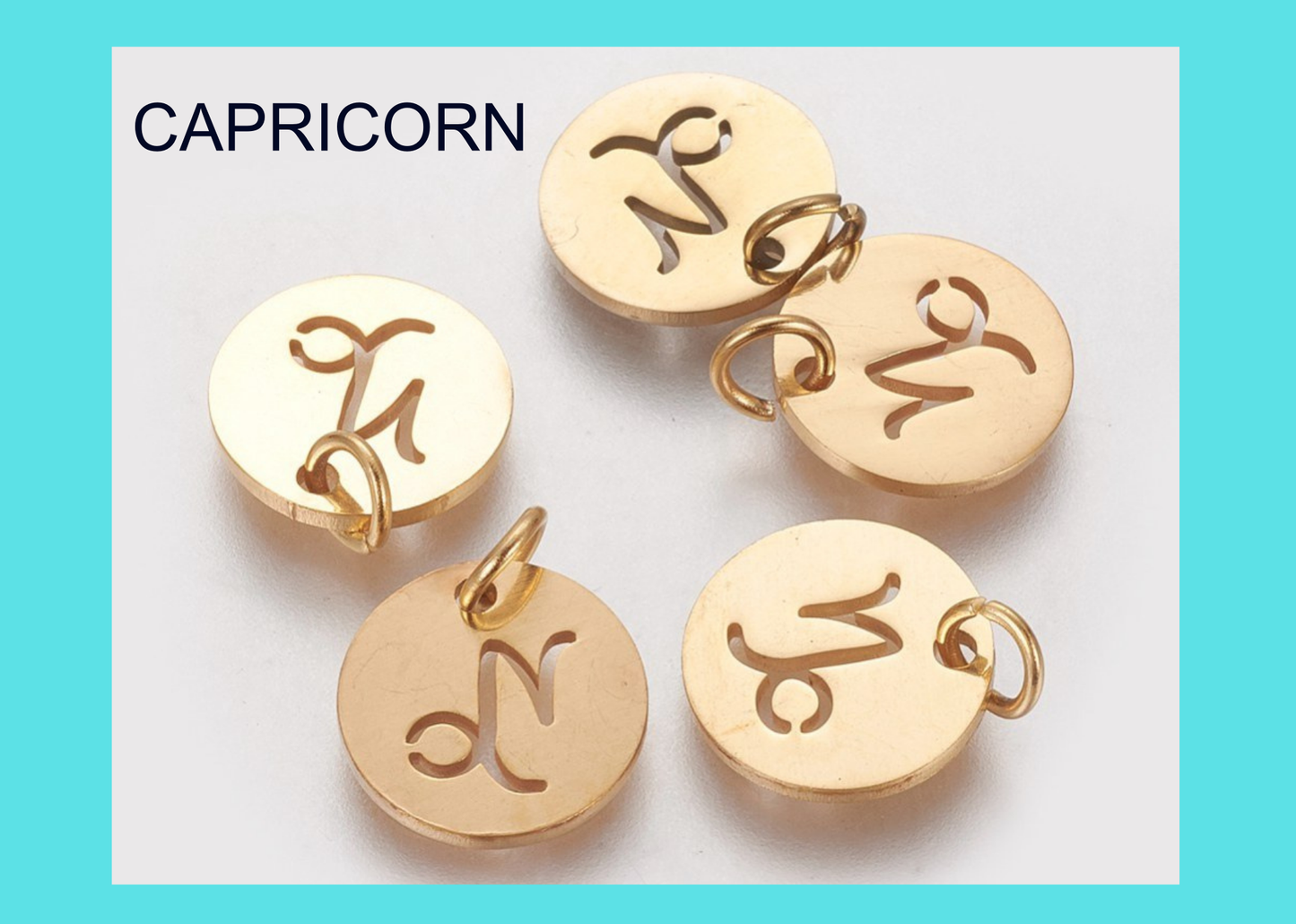 Charm - Zodiac - CAPRICORN