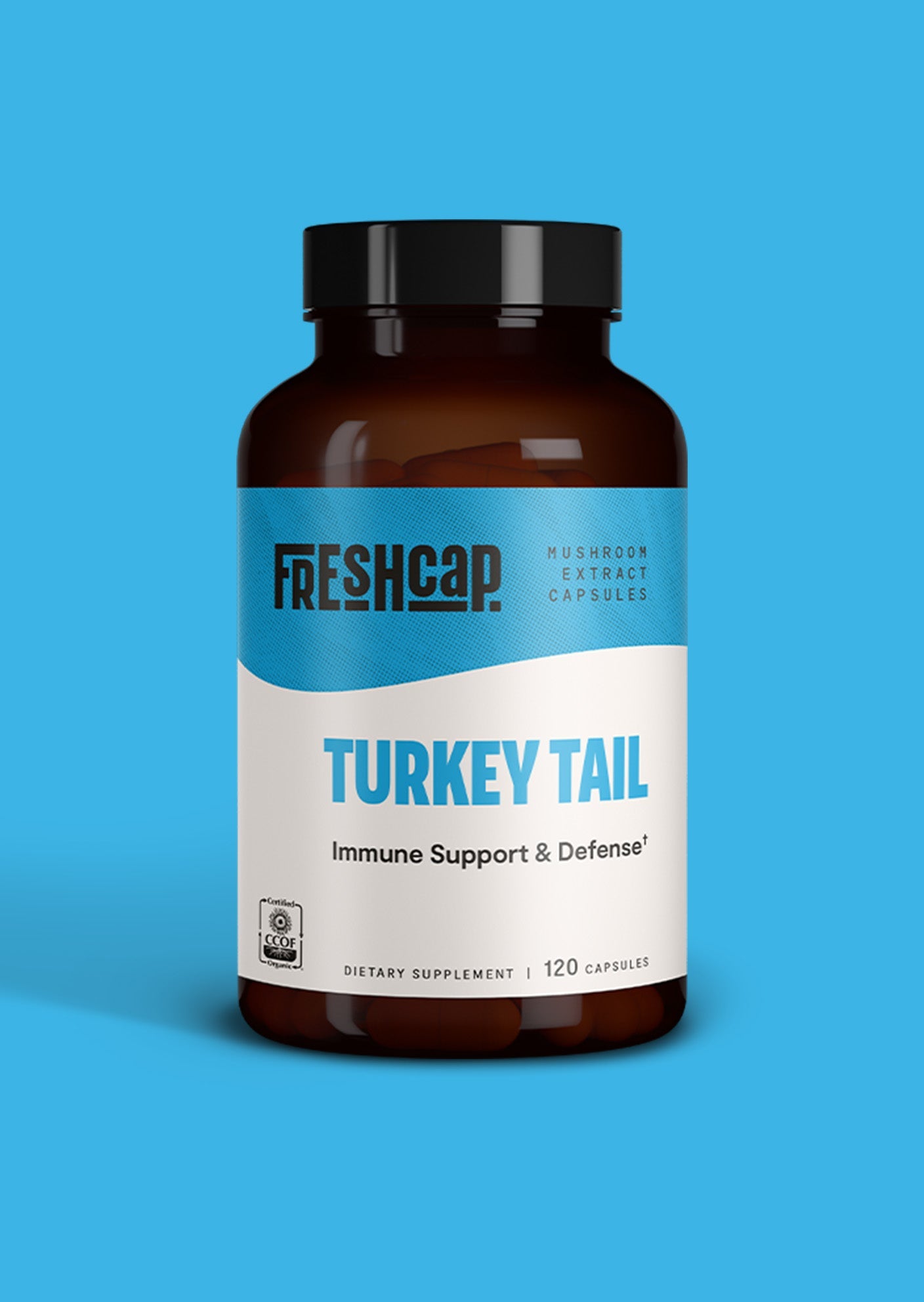 Turkey Tail Mushroom Extract Capsules - Concordia Style Boutique
