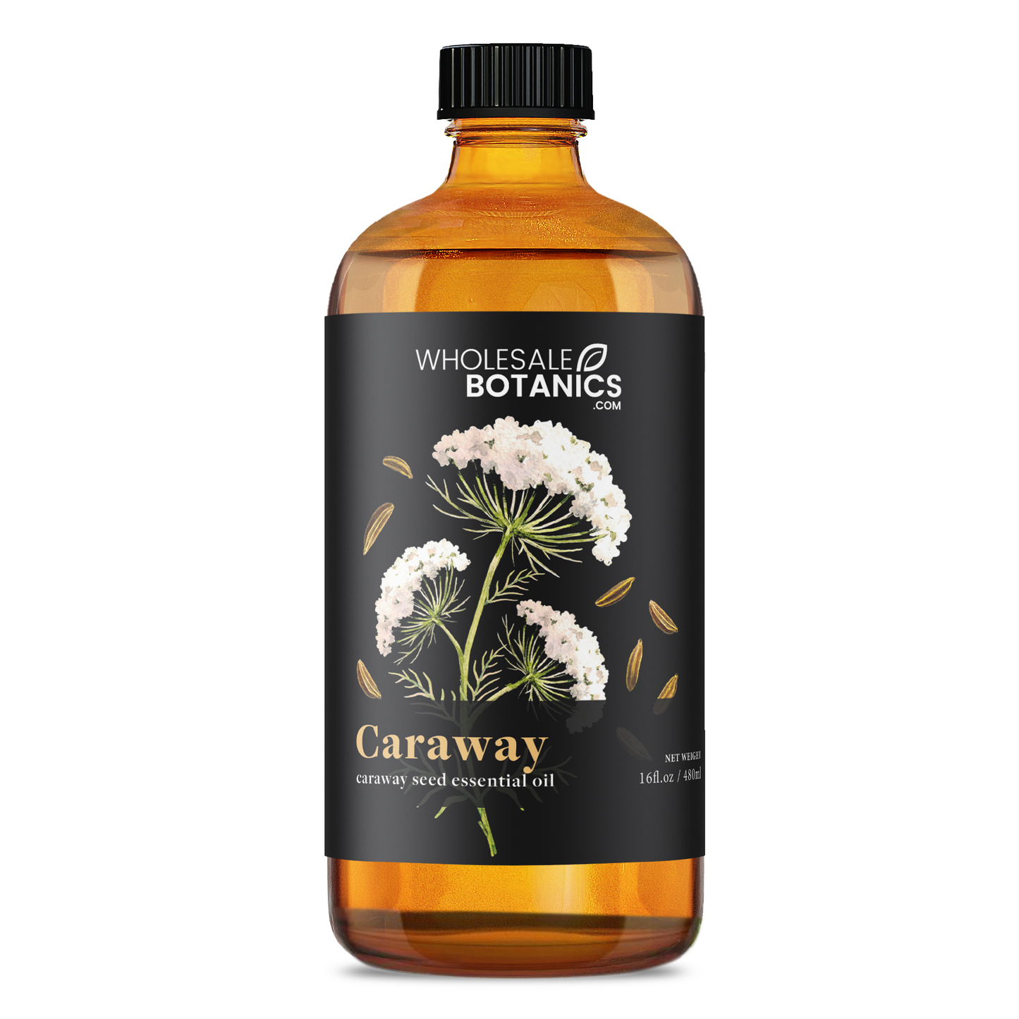 Caraway Essential Oil