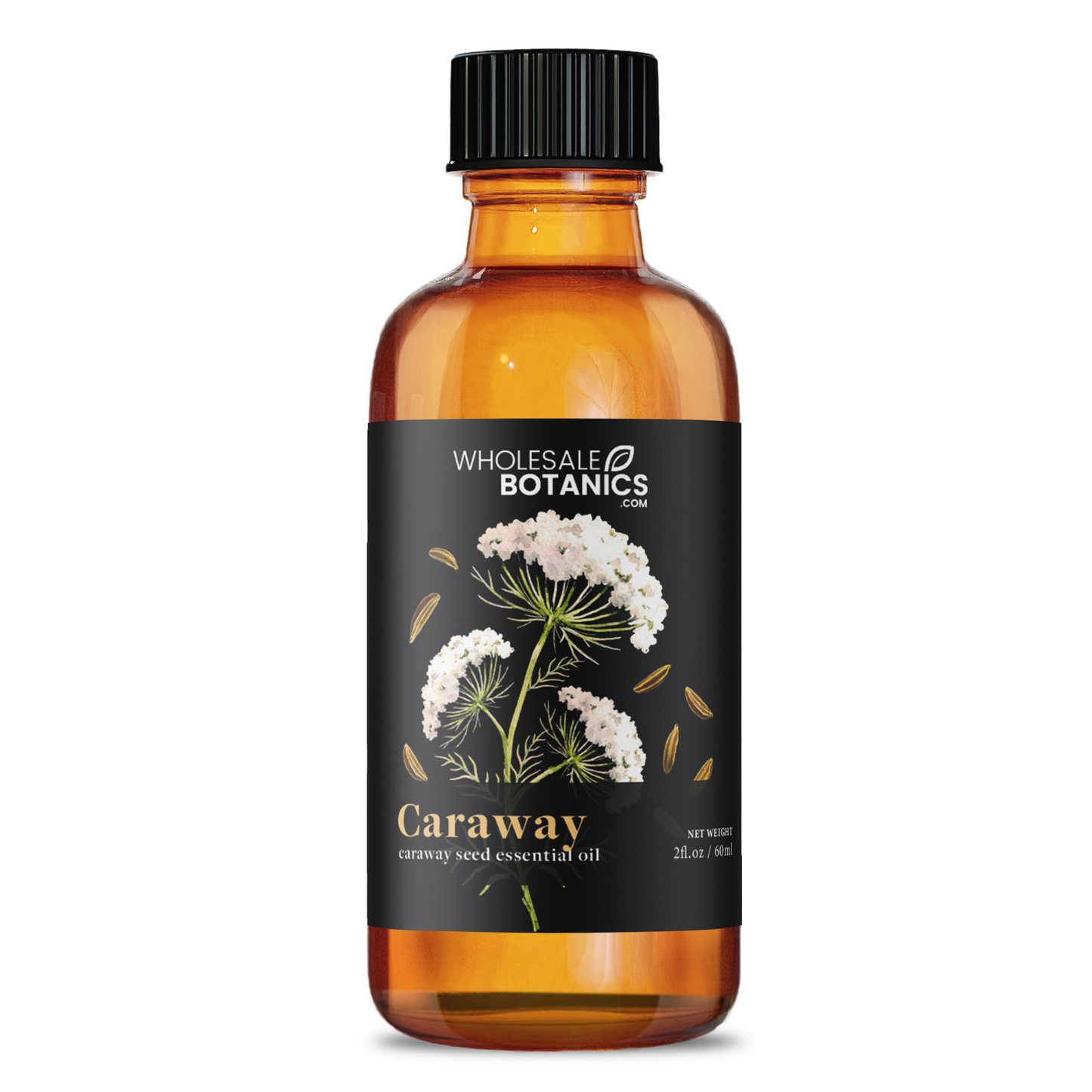 Caraway Essential Oil