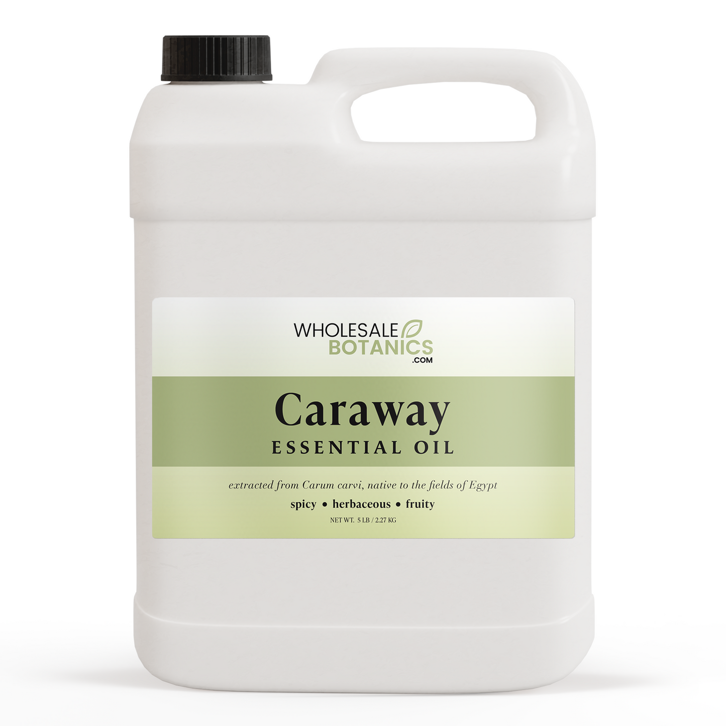 Caraway Essential Oil