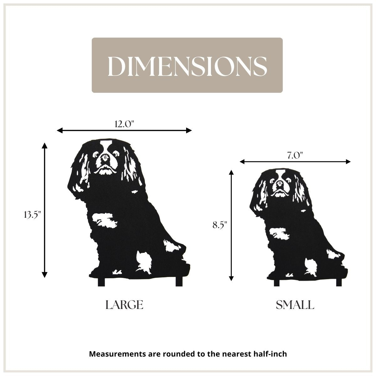 Cavalier King Charles Spaniel
