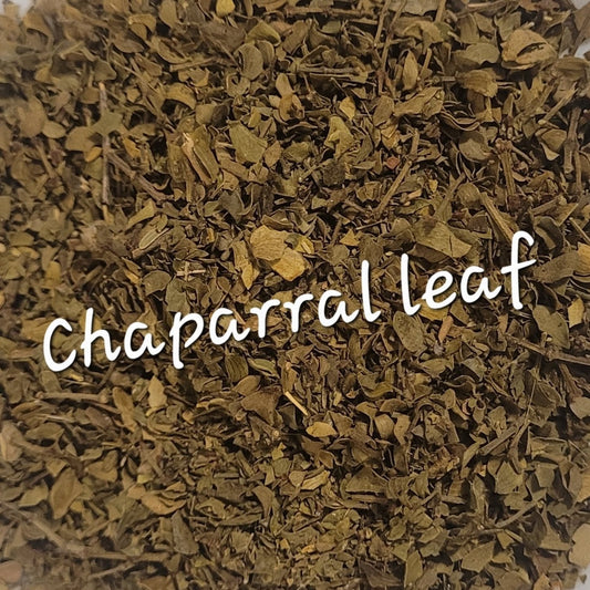 Chaparral Leaf | Detoxification & Immune Strength