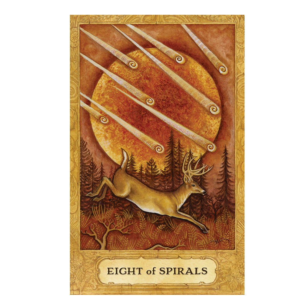 Chrysalis Tarot Deck and Book Set - Concordia Style Boutique