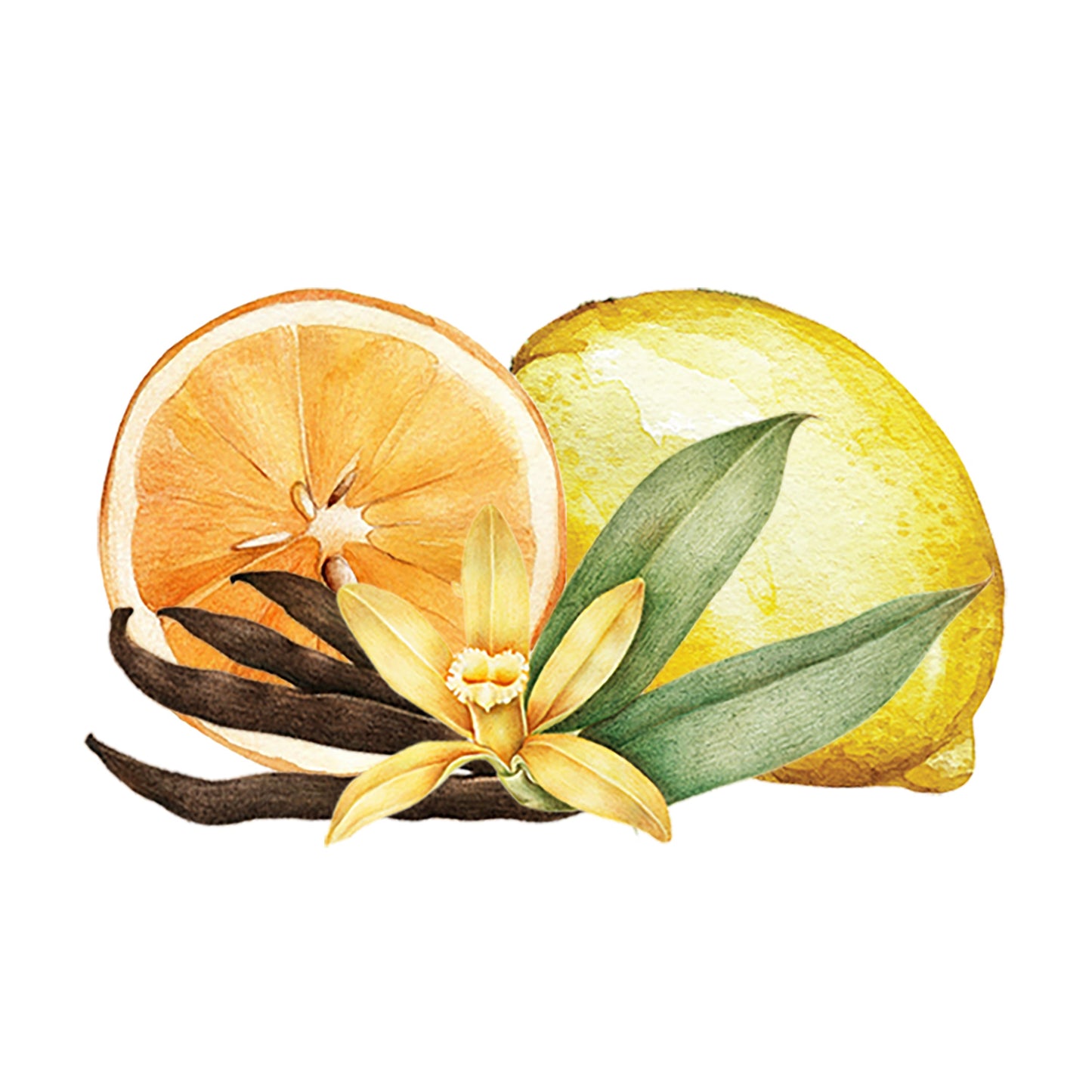 Citrus & Vanilla EO / FO Blend - Concordia Style Boutique