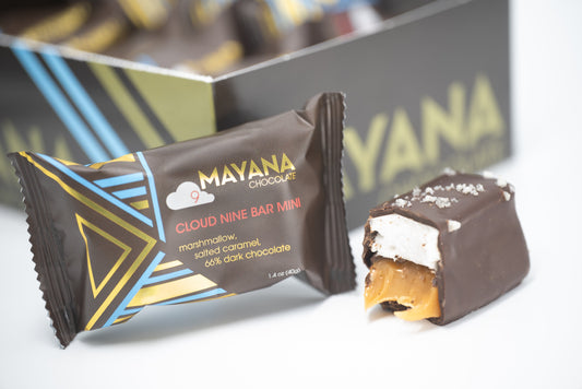Cloud Nine Mini Bar // 10 Count - Concordia Style Boutique