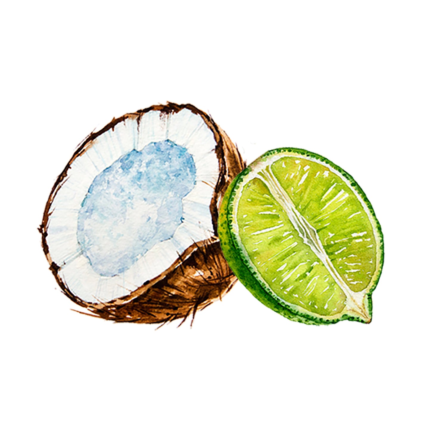 Coconut & Lime EO / FO Blend - Concordia Style Boutique