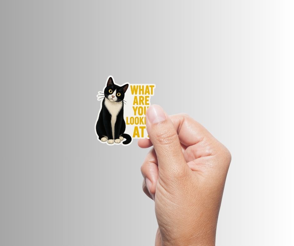 "What Are You Looking At" Sarcastic Funny Cat Sticker